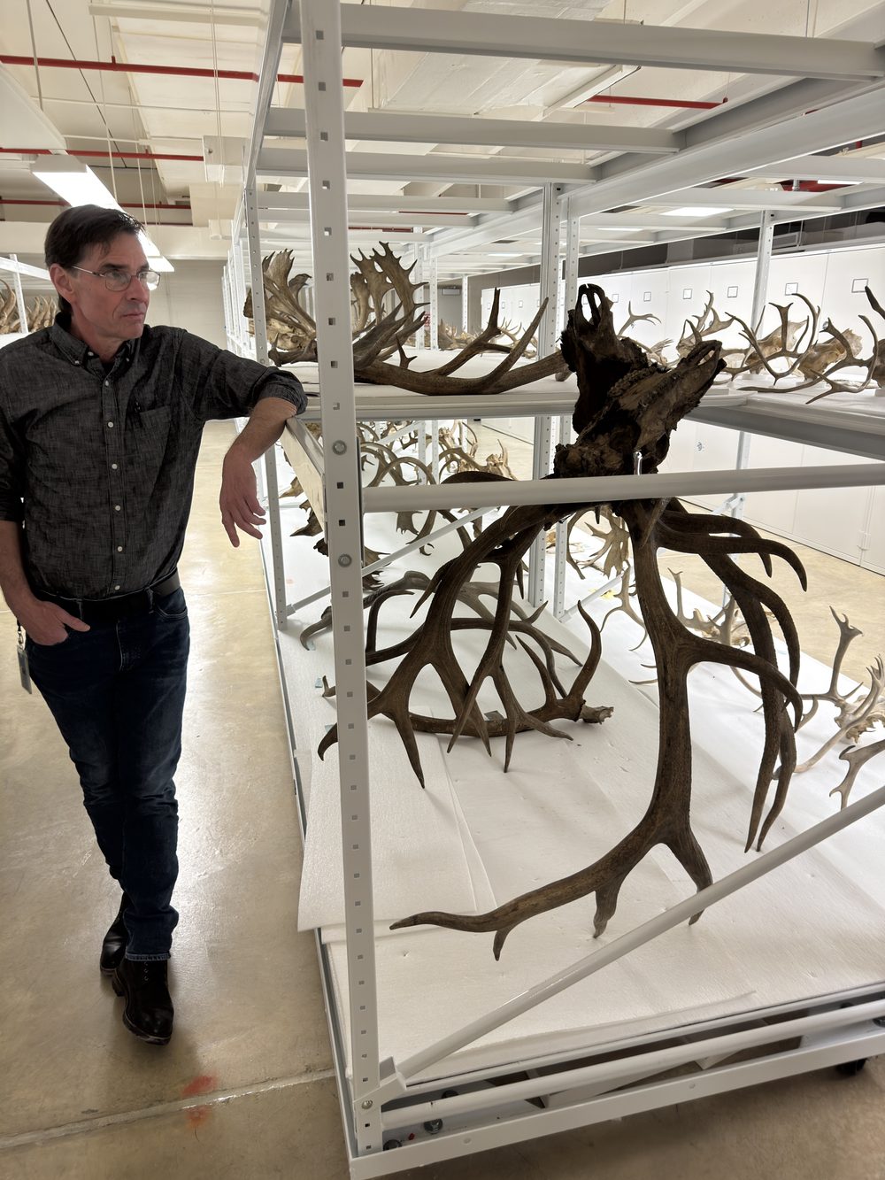 Behind the scenes with the Smithsonian's Roosevelt African Expedition collections - 2025