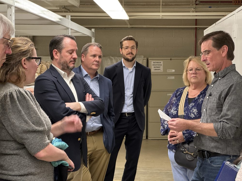 Behind the scenes with the Smithsonian's Roosevelt African Expedition collections - 2025