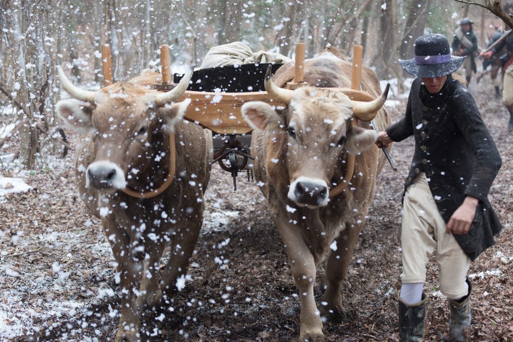 On set for The Winter Patriots - 2017