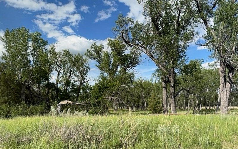 A 360-degree panorama of the Elkhorn Ranch site