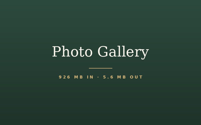 Photo Gallery — 926 MB of originals reduced to 5.6 MB